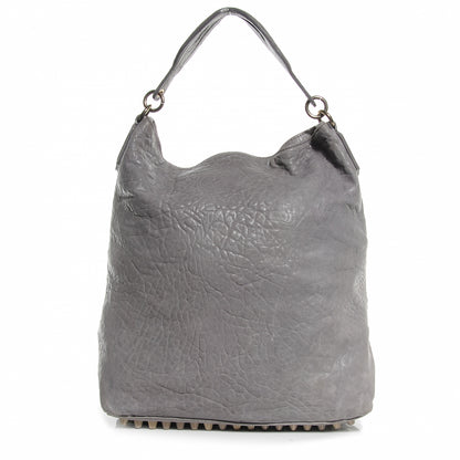 Alexander Wang Leather Darcy Hobo Sage 1 of 7