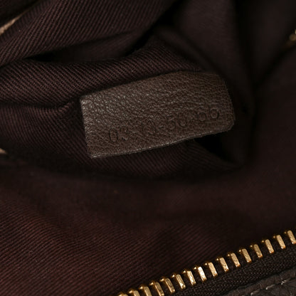 Chloe Calfskin Medium Paraty Chocolate 7 of 10
