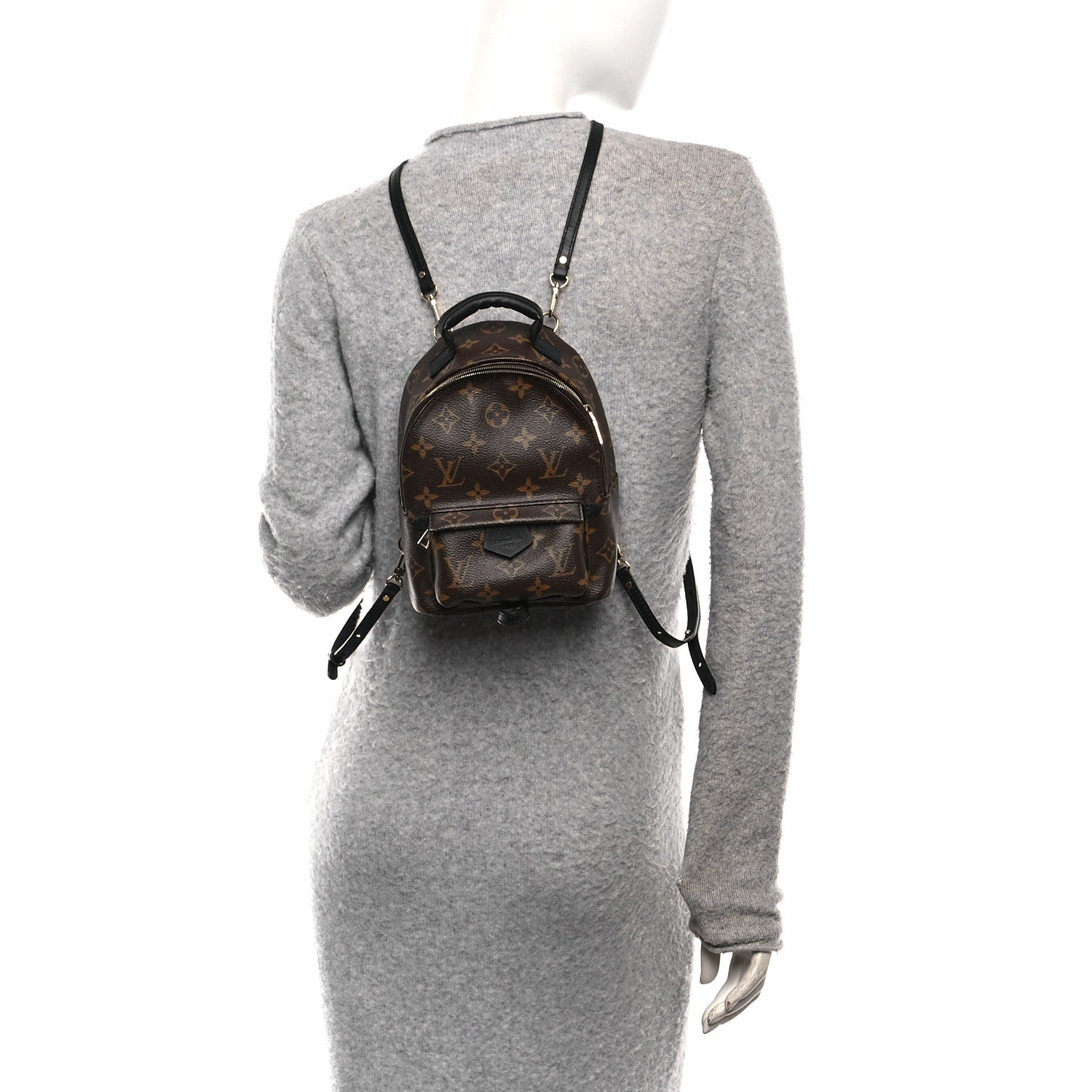 Louis Vuitton Monogram Palm Springs Backpack Mini 2 of 9
