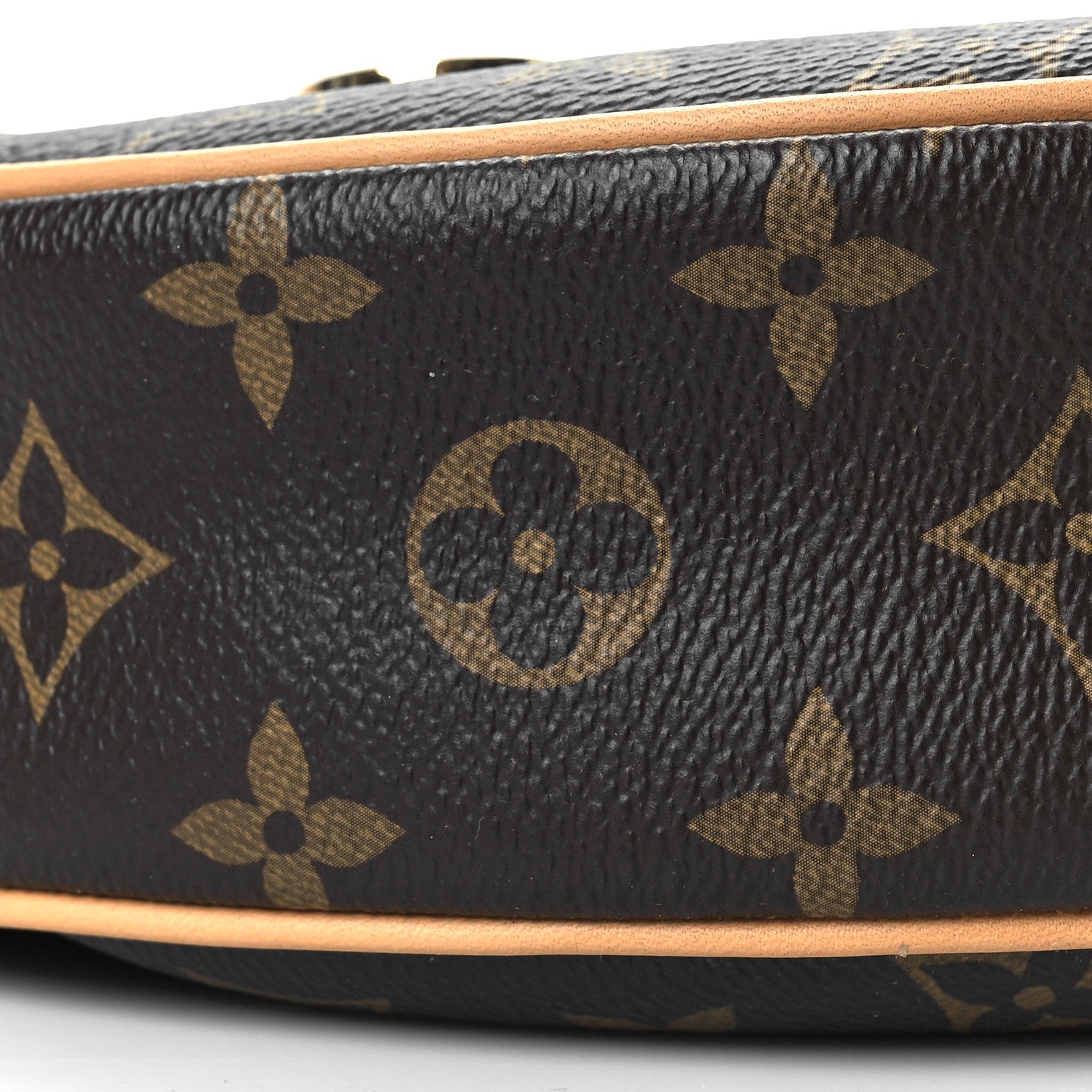 Louis Vuitton Monogram Loop 7 of 8