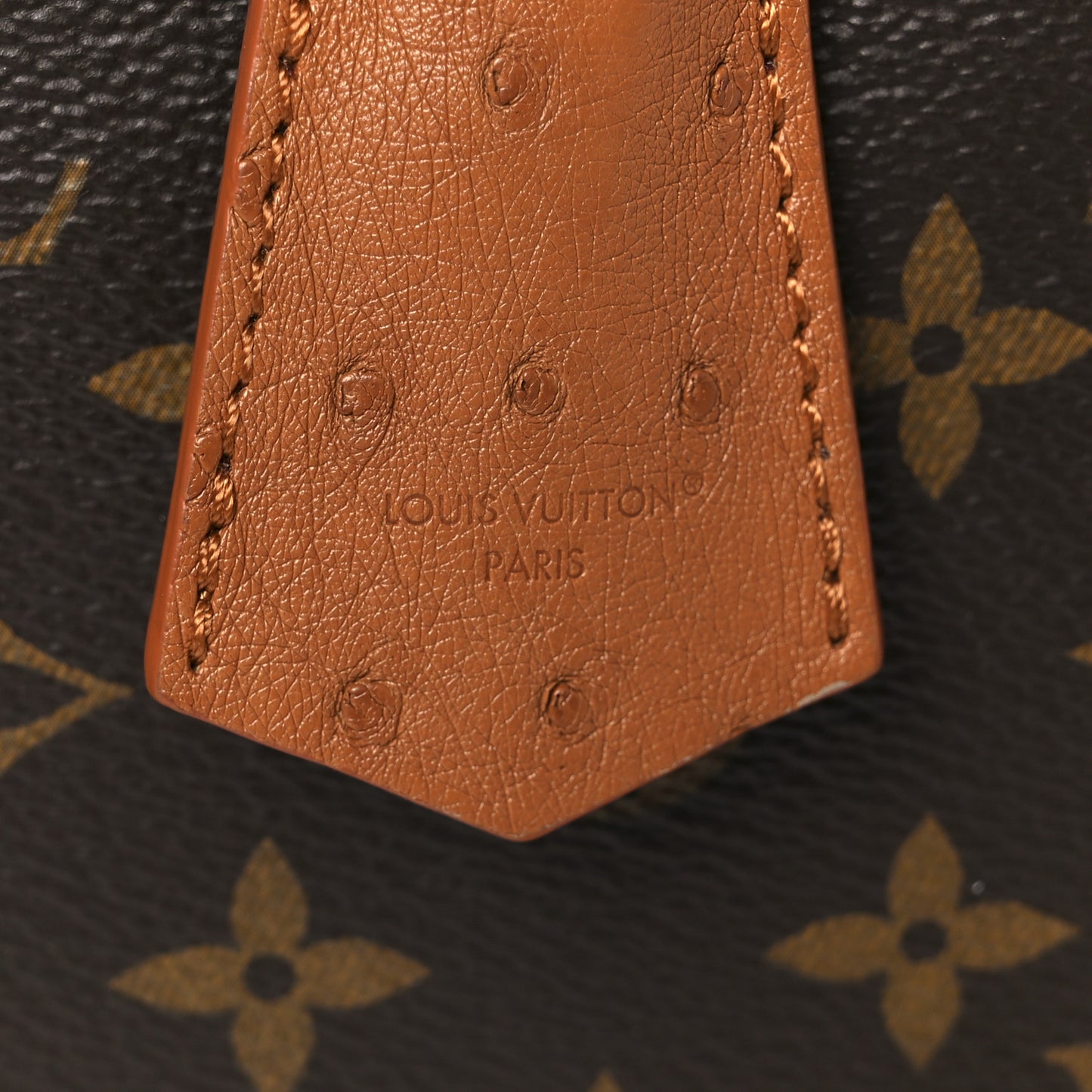 Monogram Speedy Soft 30 Boho