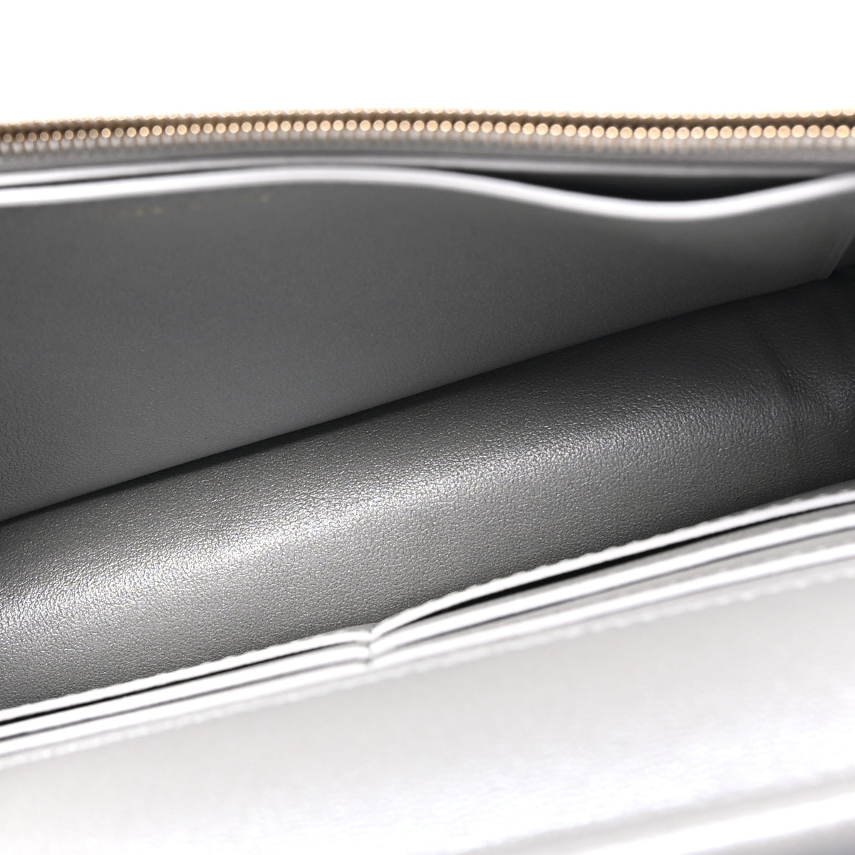 Chanel Calfskin Lizard Embossed Wallet on Chain WOC Silver 5 of 11