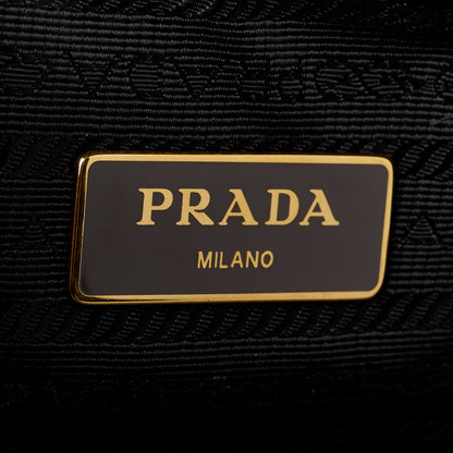 Prada Vitello Phenix Camera Bag Argilla 7 of 12