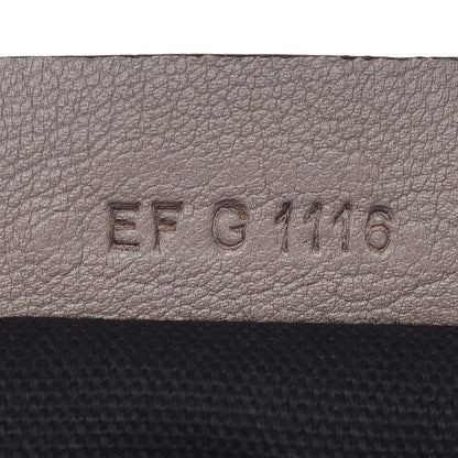 Givenchy Sugar Goatskin Medium Pandora Mastic 7 of 7