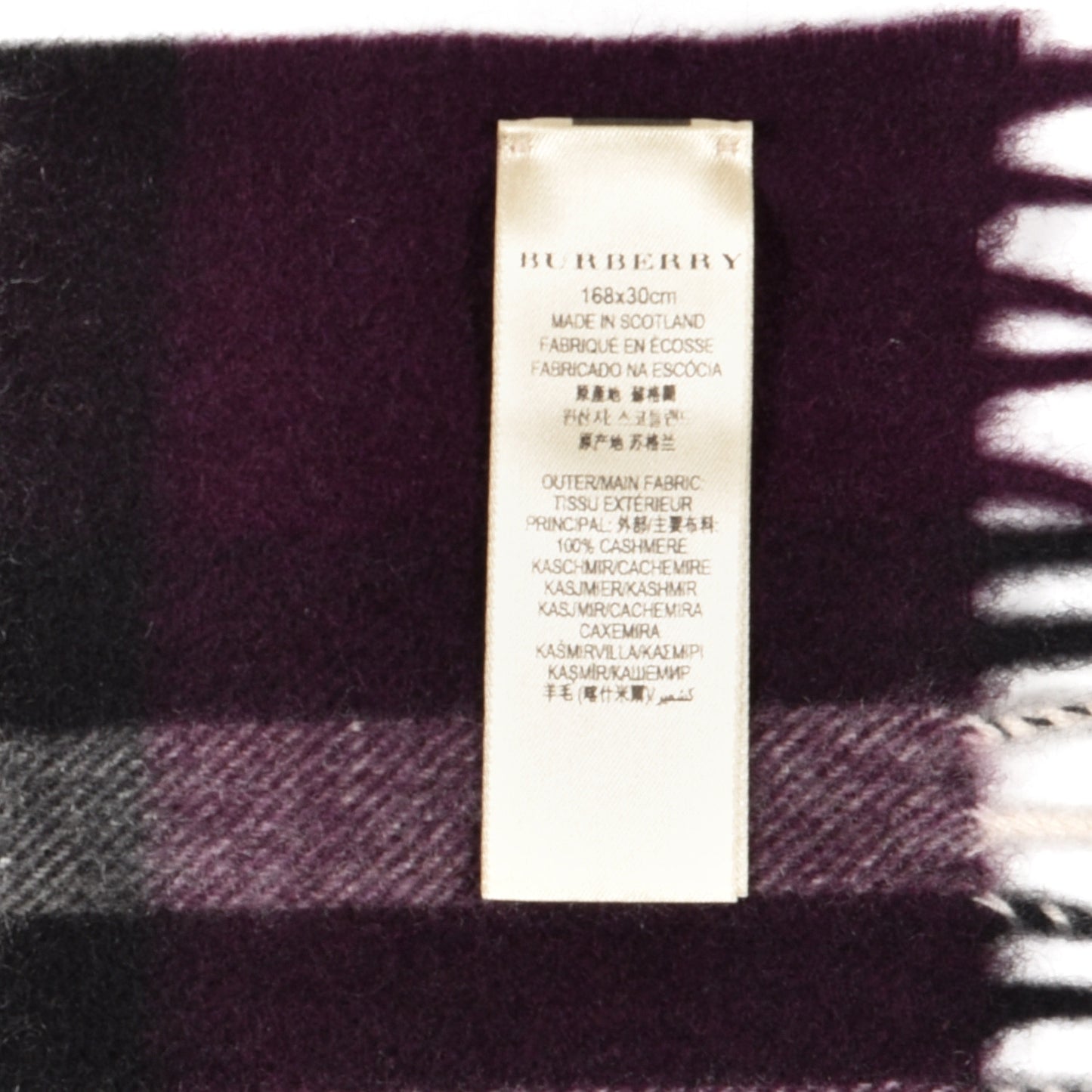 Cashmere Giant Check Icon Stripe Fringe Scarf Purple