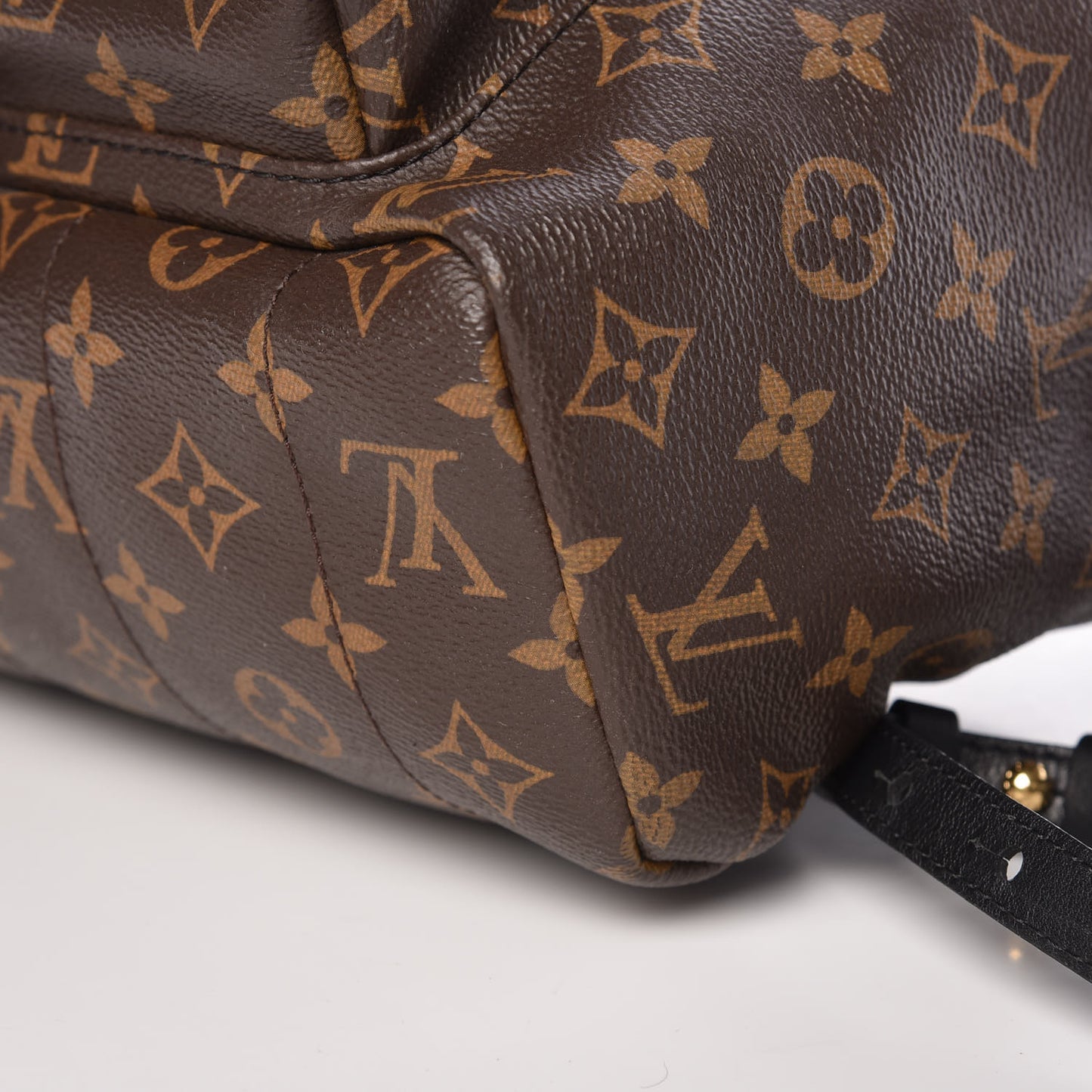 Monogram Palm Springs Backpack MM