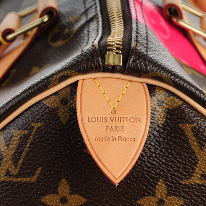 Louis Vuitton Monogram Speedy 30 V Grenade 6 of 7