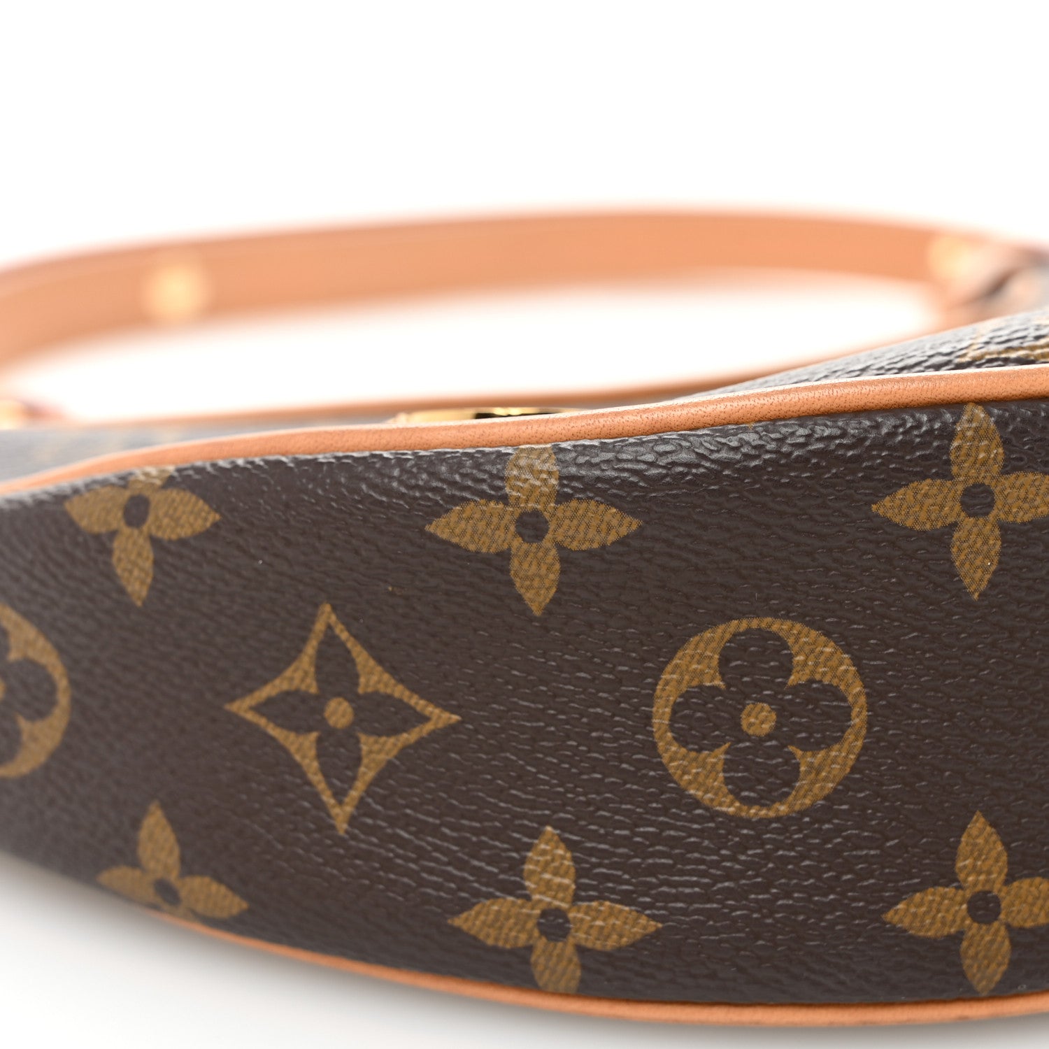 Louis Vuitton Monogram Loop 8 of 10