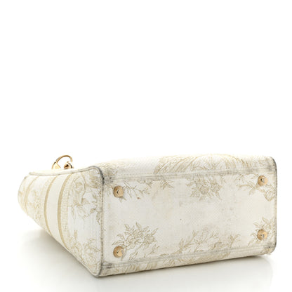 Christian Dior Canvas Embroidered Jardin D'Hiver Medium Lady D-Lite White Gold 4 of 14