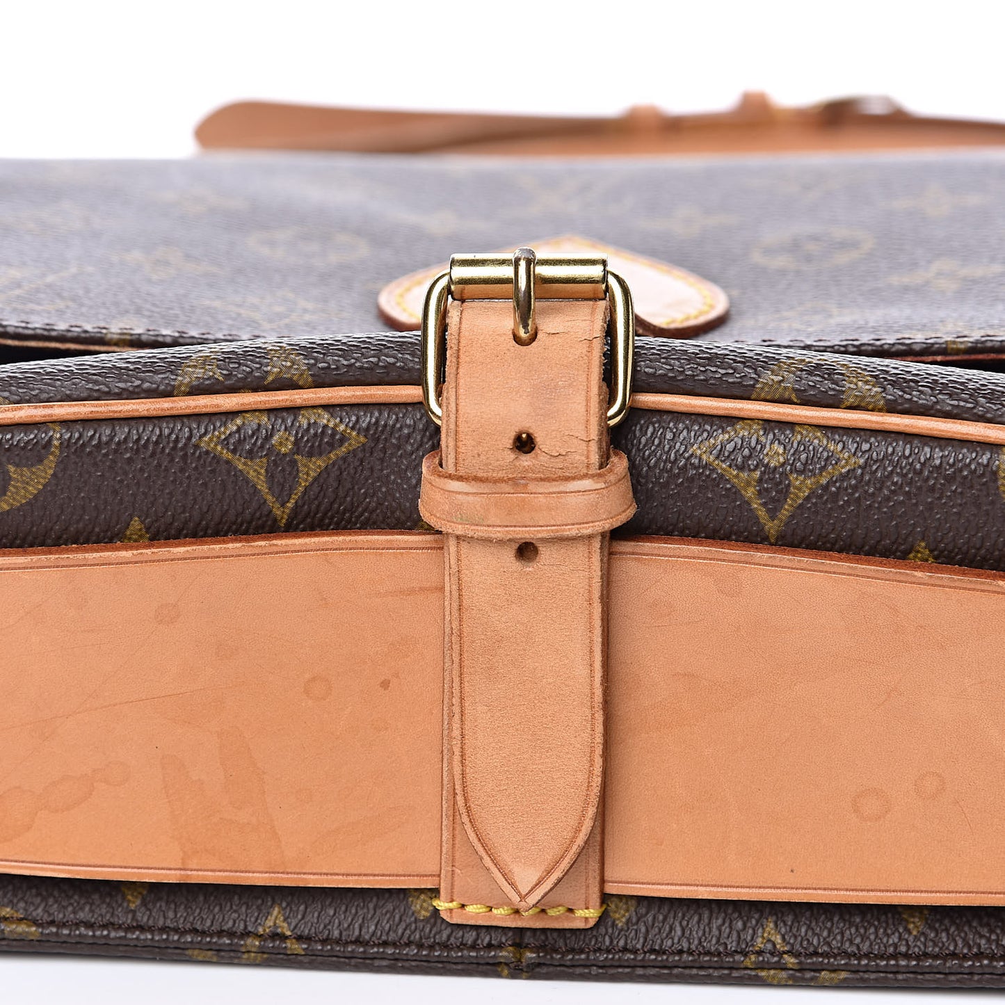 Monogram Cartouchiere 22