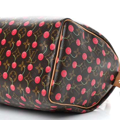 Louis Vuitton Monogram Cerises Speedy 25 11 of 11