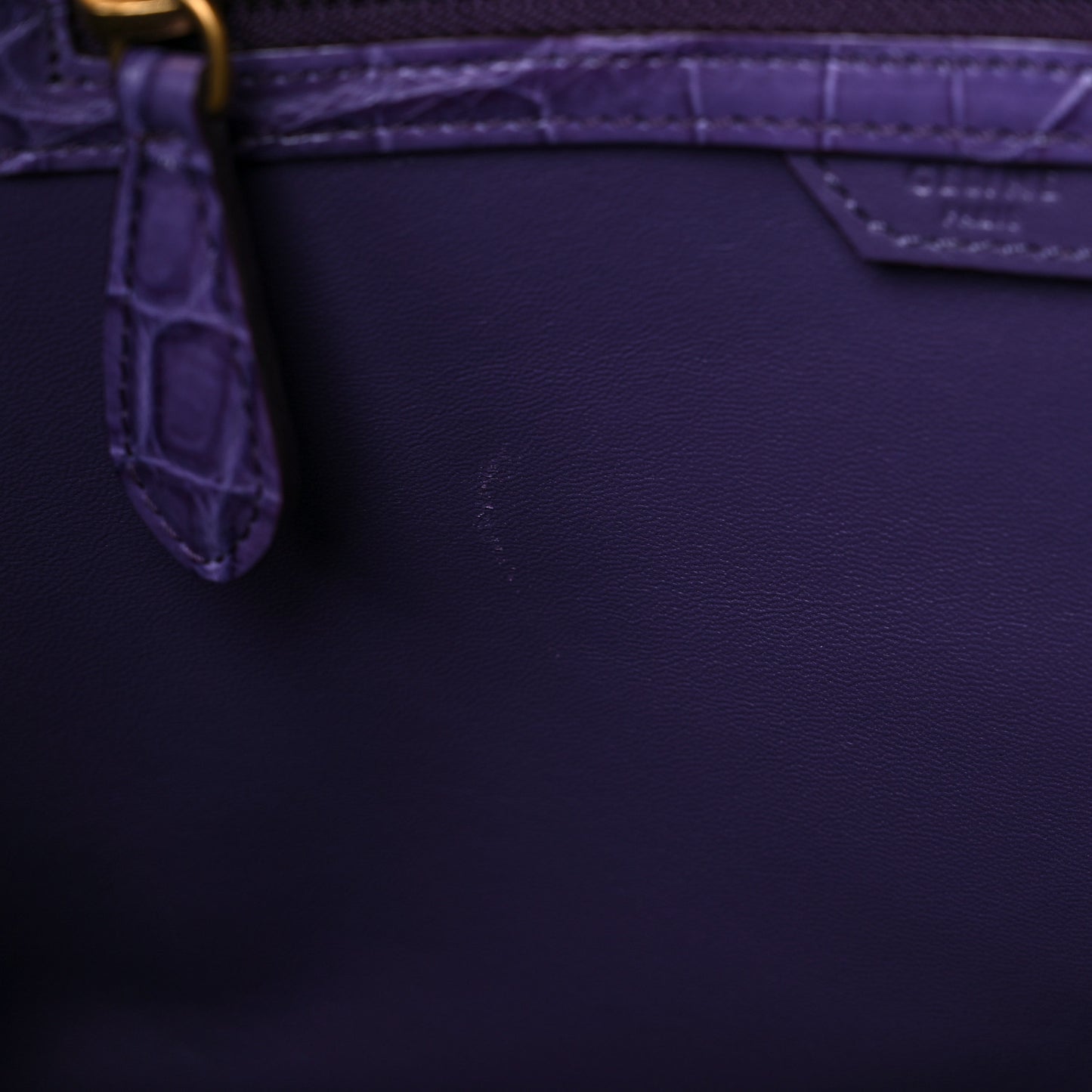 Crocodile Mini Luggage Purple