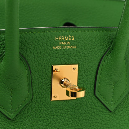 Hermes Togo Birkin 25 Vert Yucca 6 of 12