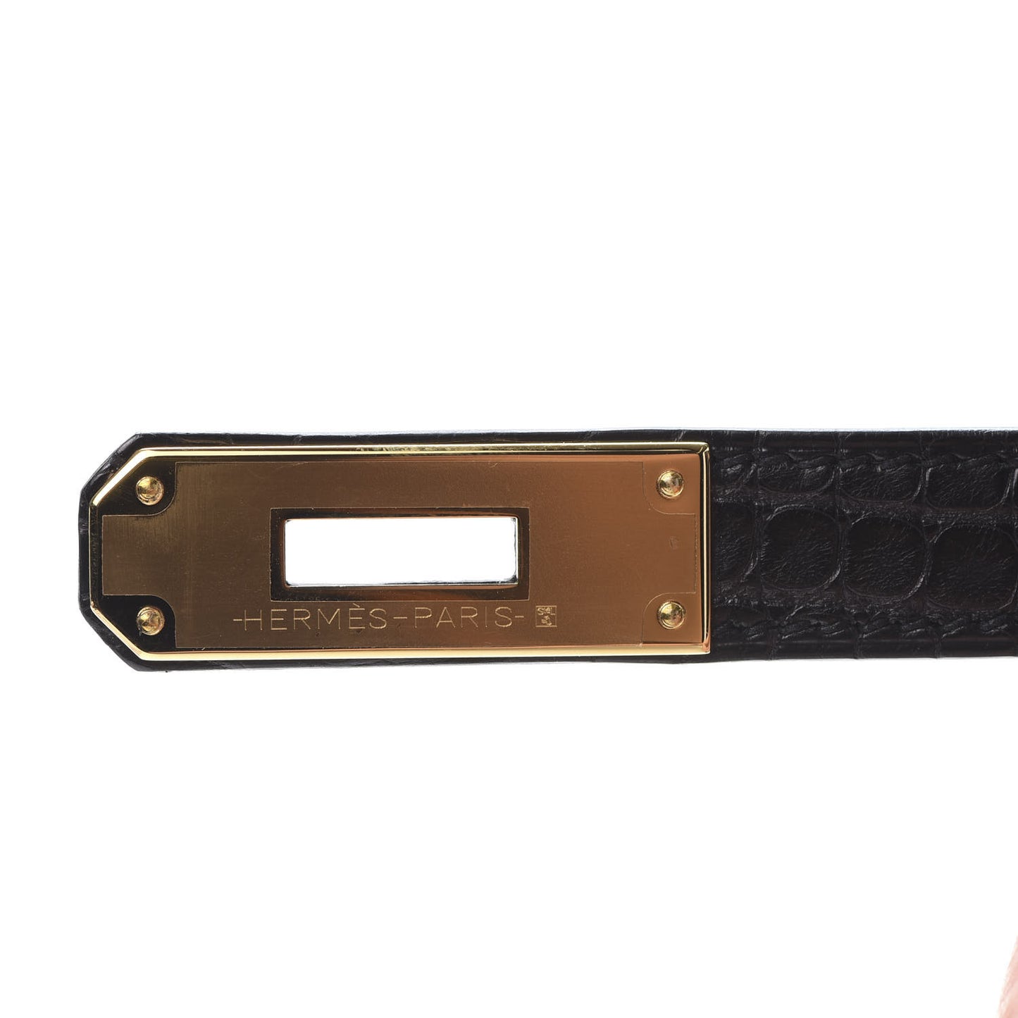 Togo Matte Alligator Birkin Touch 30 Black