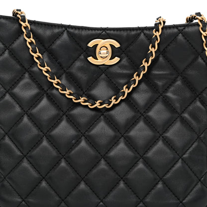 Chanel Lambskin Quilted Small Pearl Crush Hobo Black 8 of 12