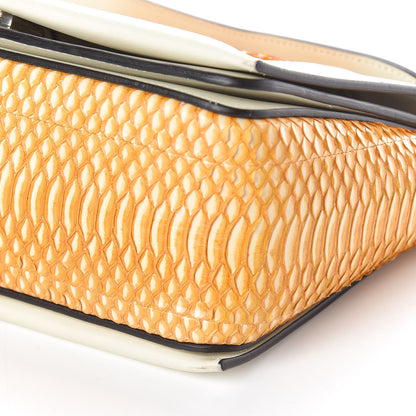 Celine Watersnake Medium Frame Shoulder Bag Beige Orange 9 of 9