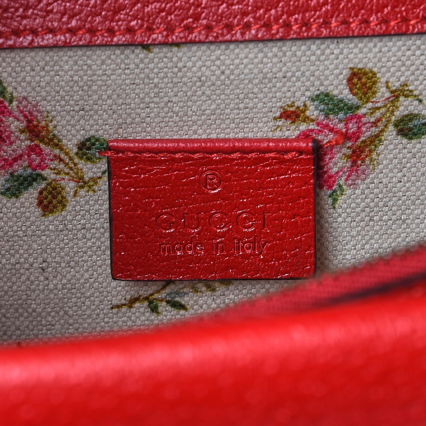 Textured Calfskin Web Medium Dionysus Shoulder Bag Hibiscus Red
