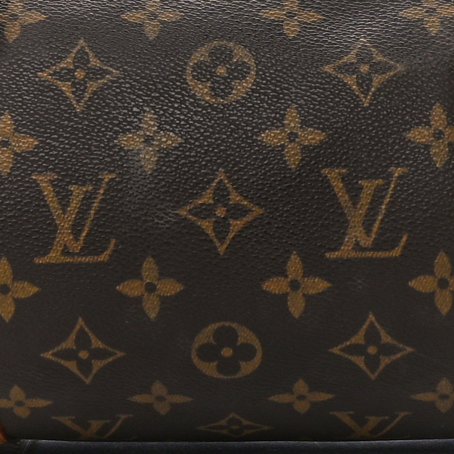Monogram Papillon 30