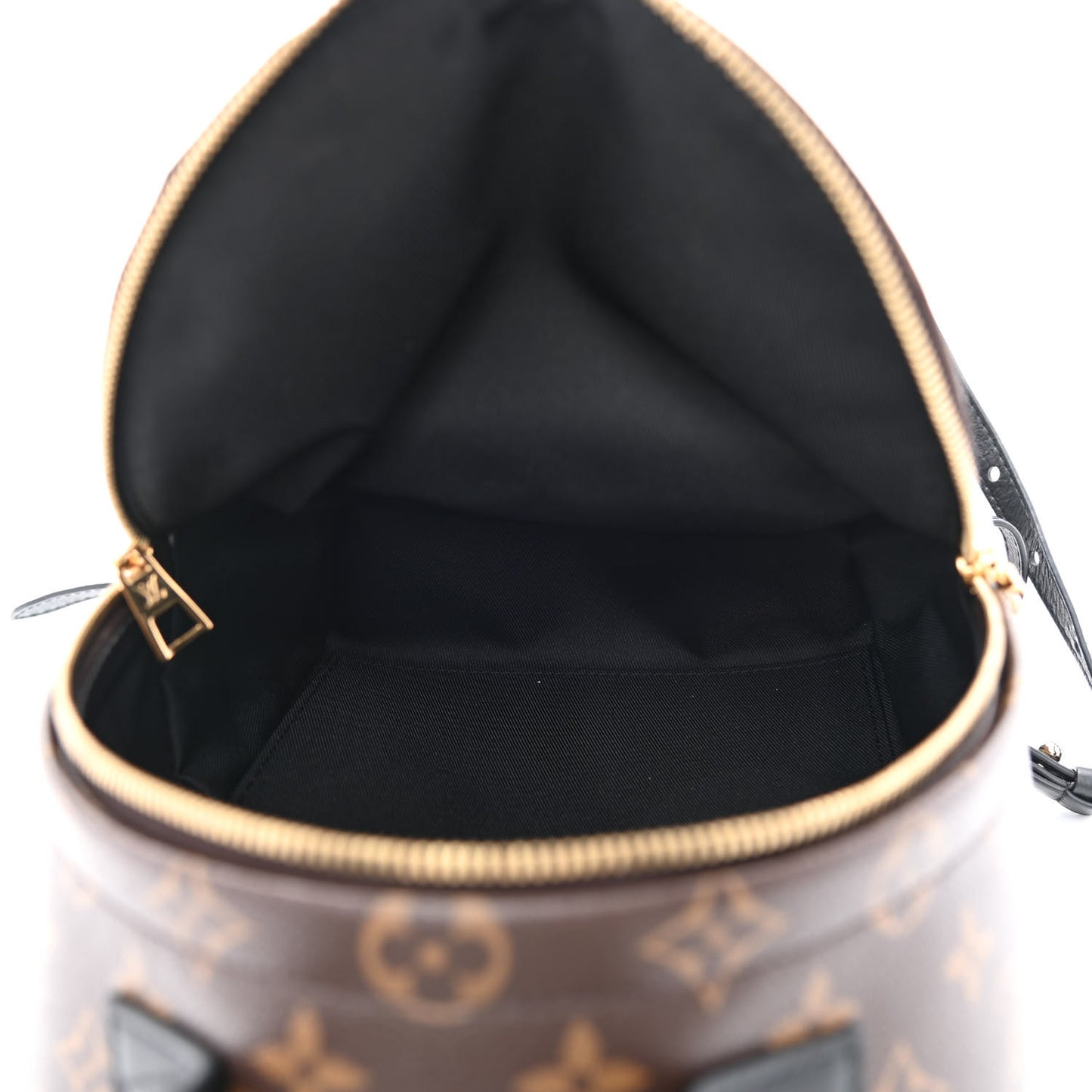 Monogram Palm Springs Backpack PM
