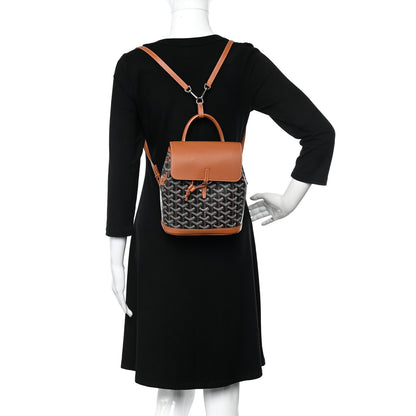 Goyard Goyardine Calfskin Mini Alpin Backpack Black Gold 2 of 11