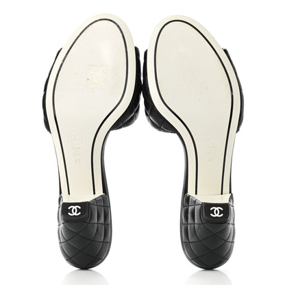 Chanel Lambskin Quilted Textured CC Mules 41 Black 5 of 9