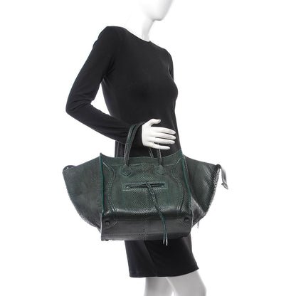 Celine Python Medium Phantom Luggage Emerald 2 of 7
