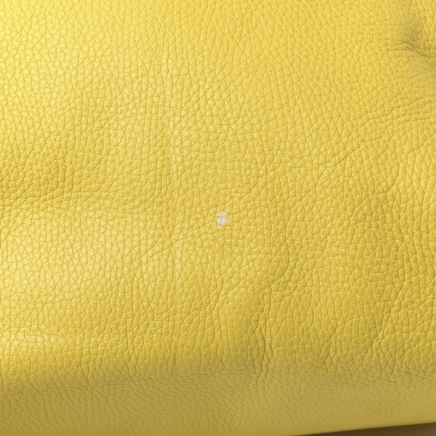 Pebbled Calfskin Large Skull Padlock Zip Around Tote Yellow