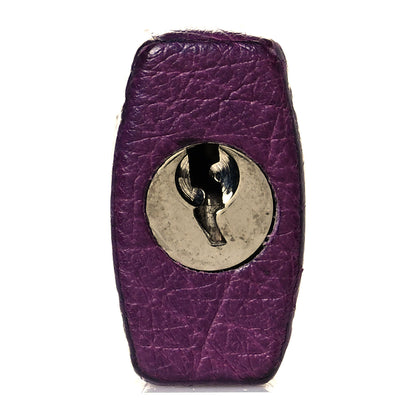 Hermes Ostrich Birkin 30 Violine 30 of 31