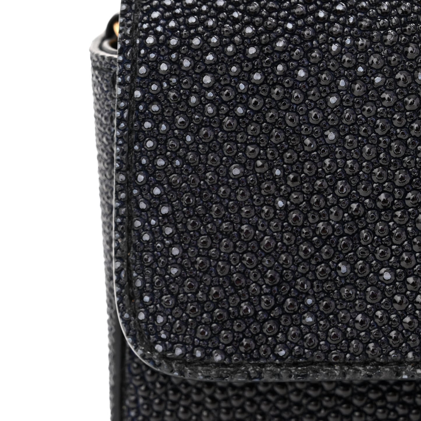 Galuchat Stingray Mini Flap Black