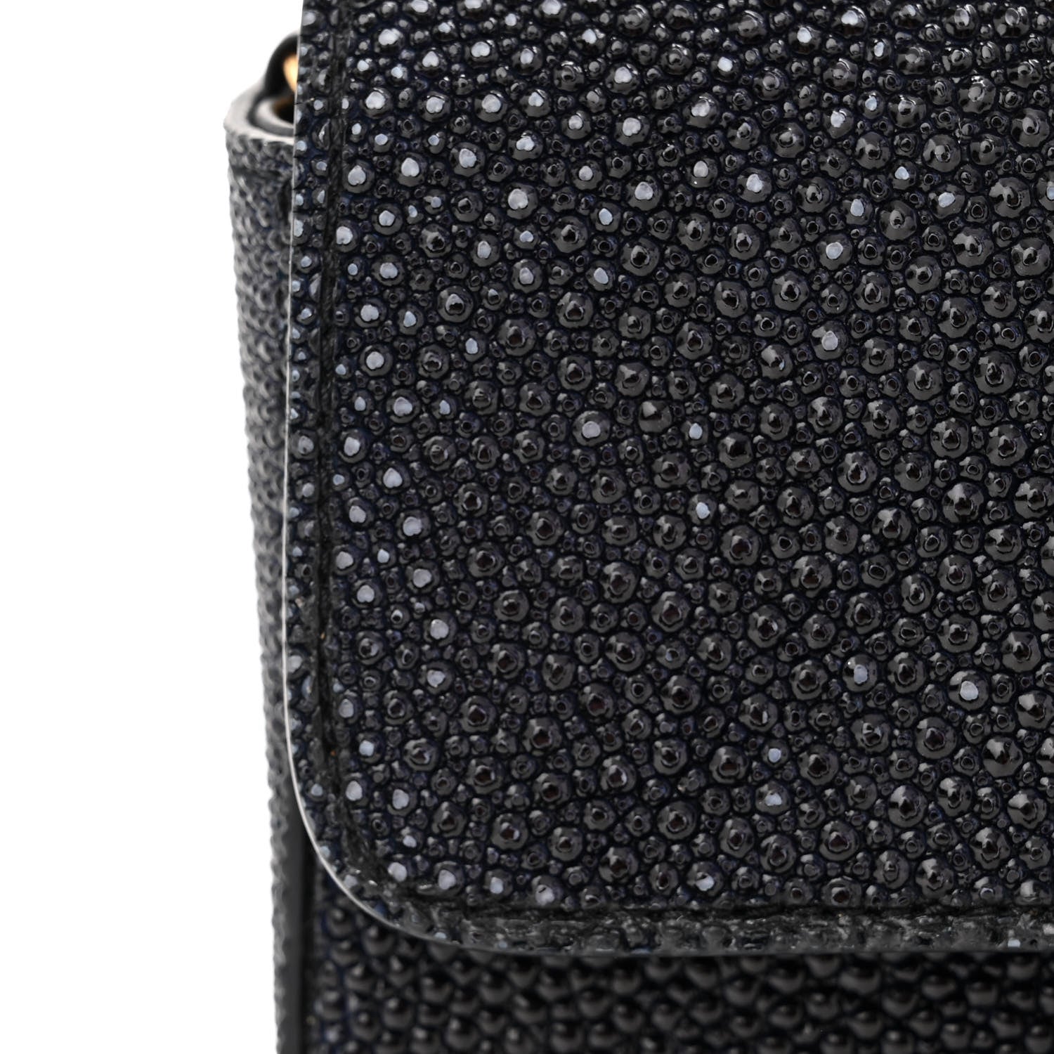 Chanel Galuchat Stingray Mini Flap Black 13 of 15