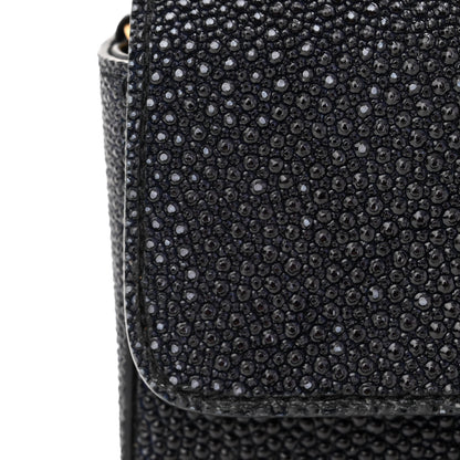Chanel Galuchat Stingray Mini Flap Black 13 of 15