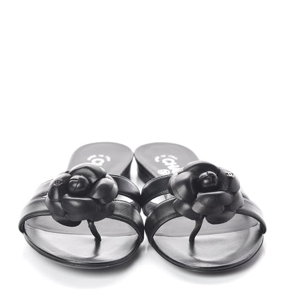 Chanel Lambskin Camellia Sandal Mules 36.5 Black 2 of 8