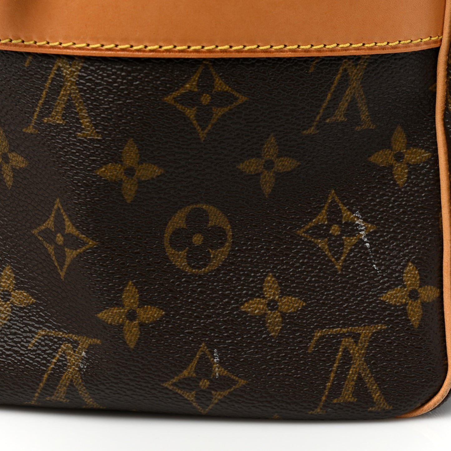 Monogram Carryall