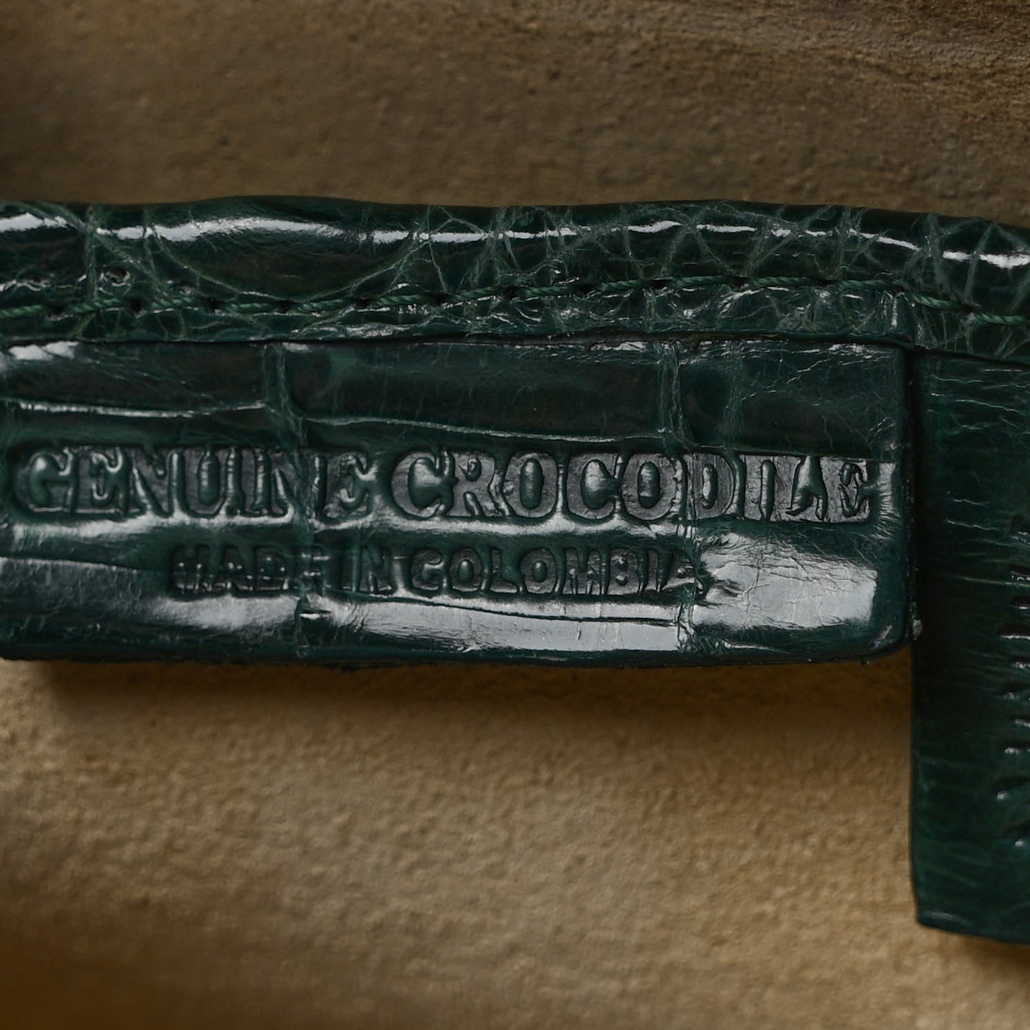 Nancy Gonzalez Crocodile Clutch Green 7 of 7