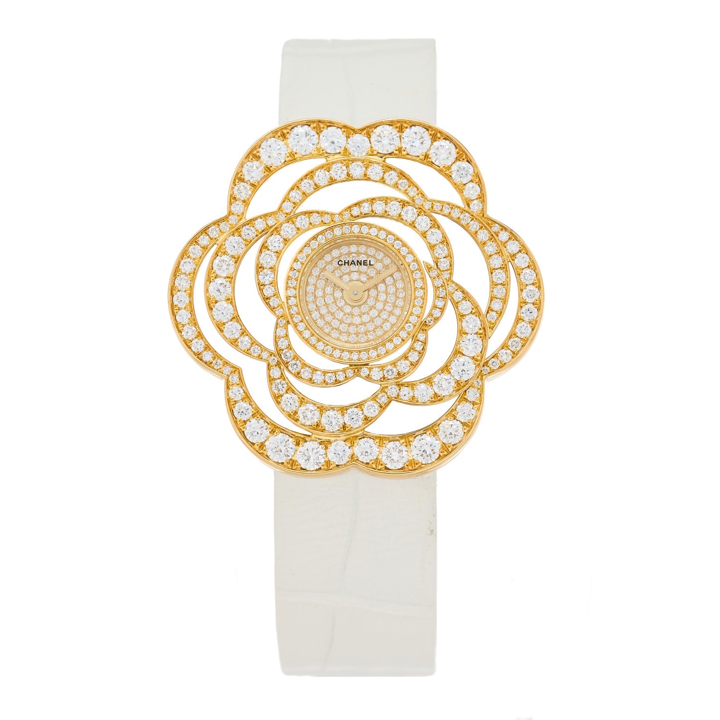 18K Yellow Gold Alligator Diamond 37mm Camelia Quartz Watch
