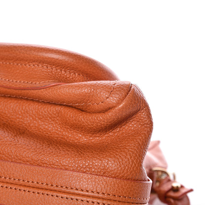 Chloe Calfskin Medium Paraty Indian Summer 11 of 17