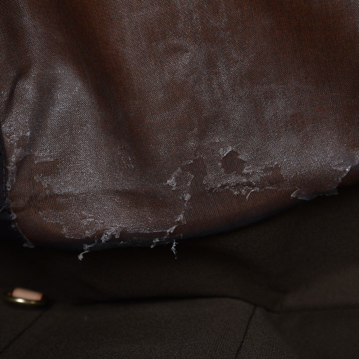 Monogram Garment Bag