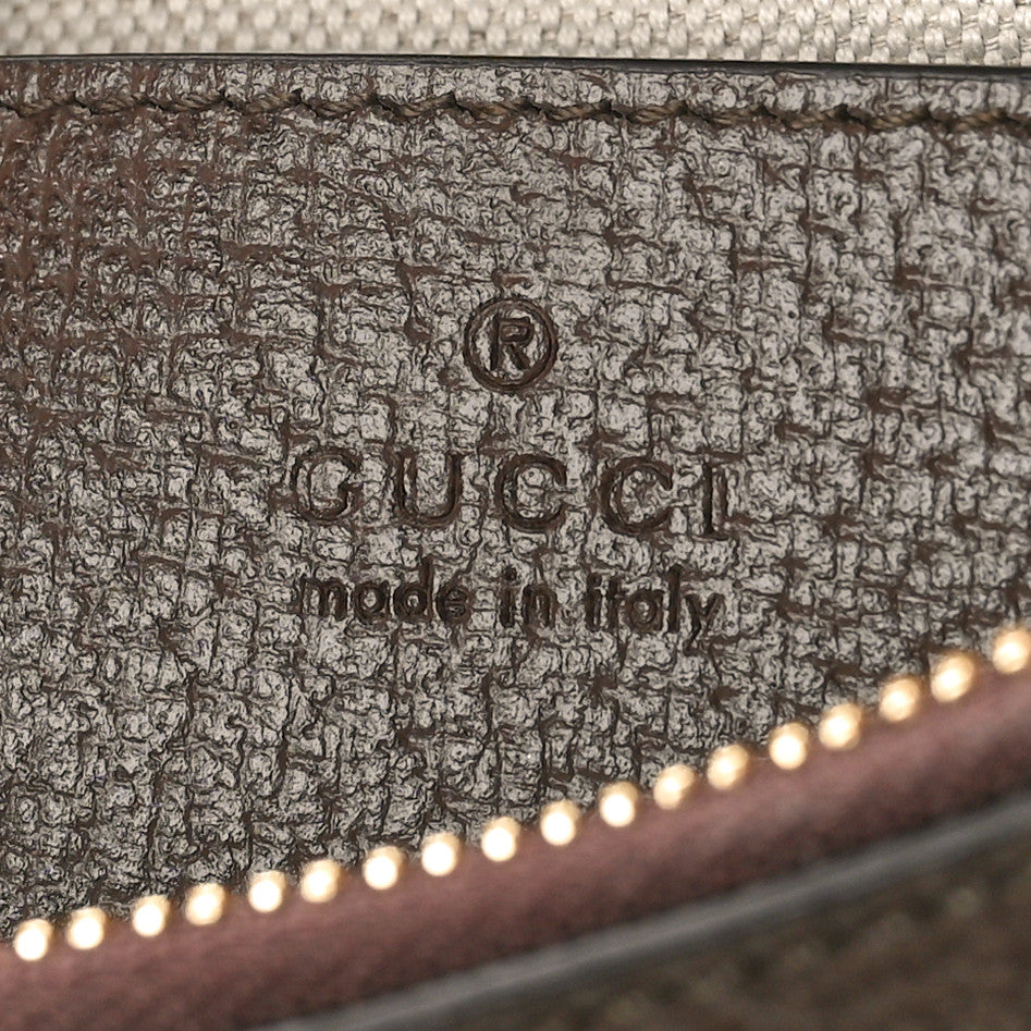 GG Supreme Monogram Textured Dollar Calfskin Web Small Ophidia GG Handbag Beige Ebony New Acero
