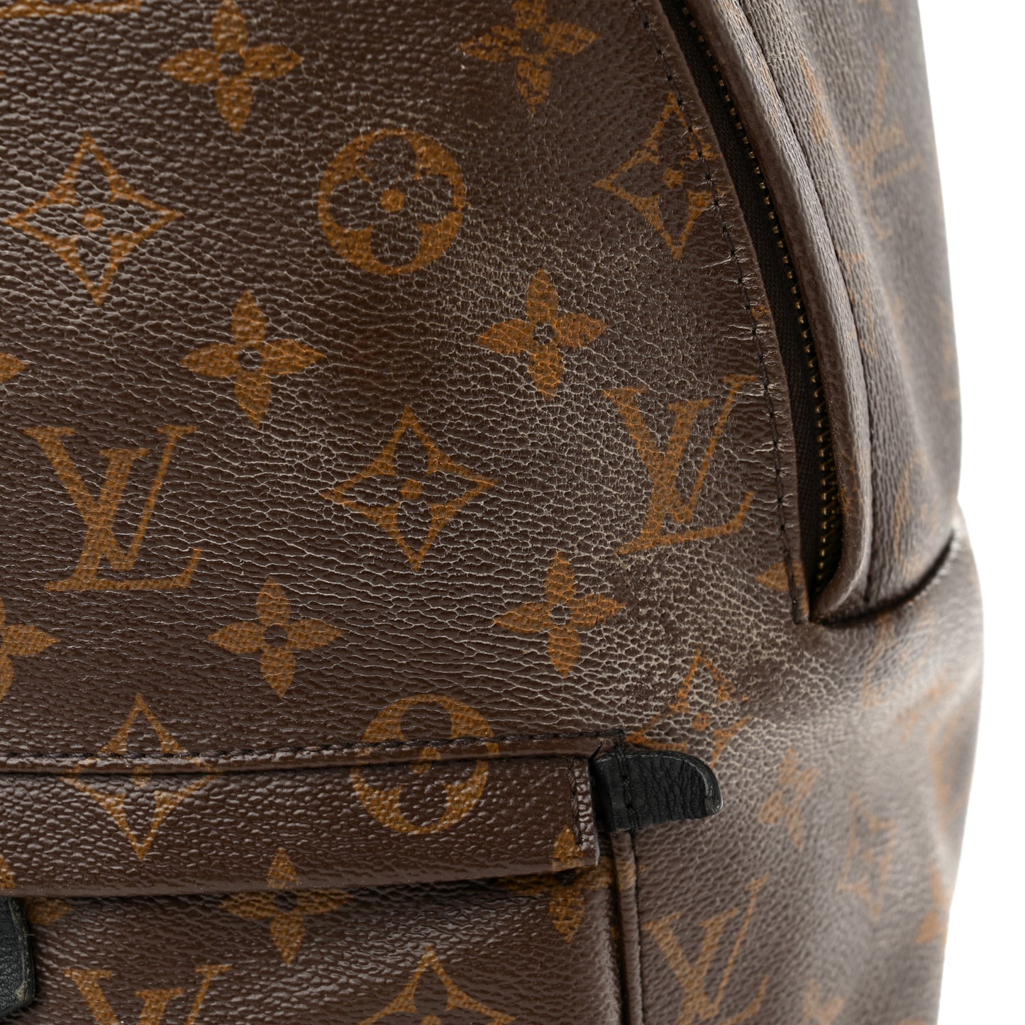 Monogram Palm Springs Backpack MM