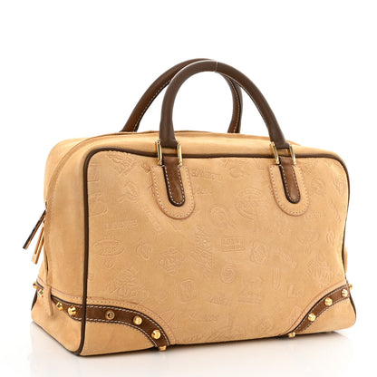 Loewe Suede Embellished 160 Anniversary Amazona Beige Brown 3 of 11
