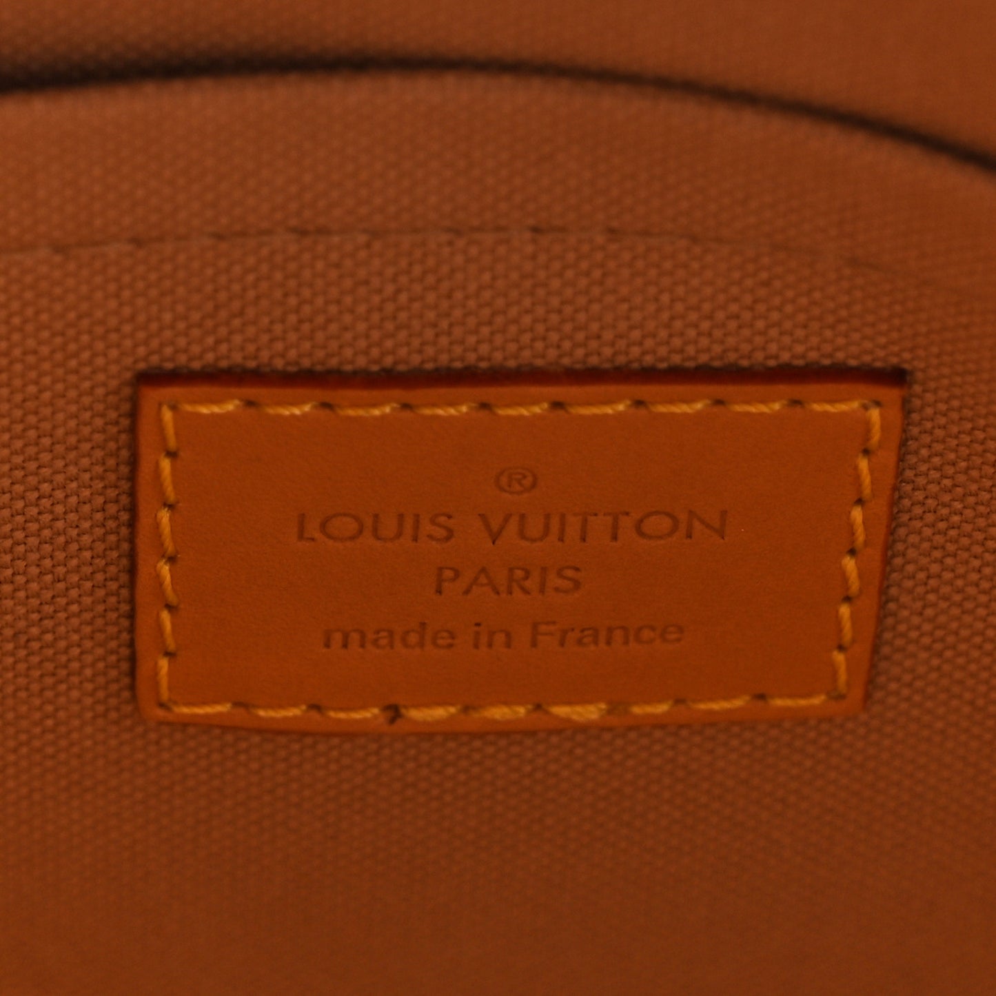 Monogram Dune Speedy Bandouliere 20