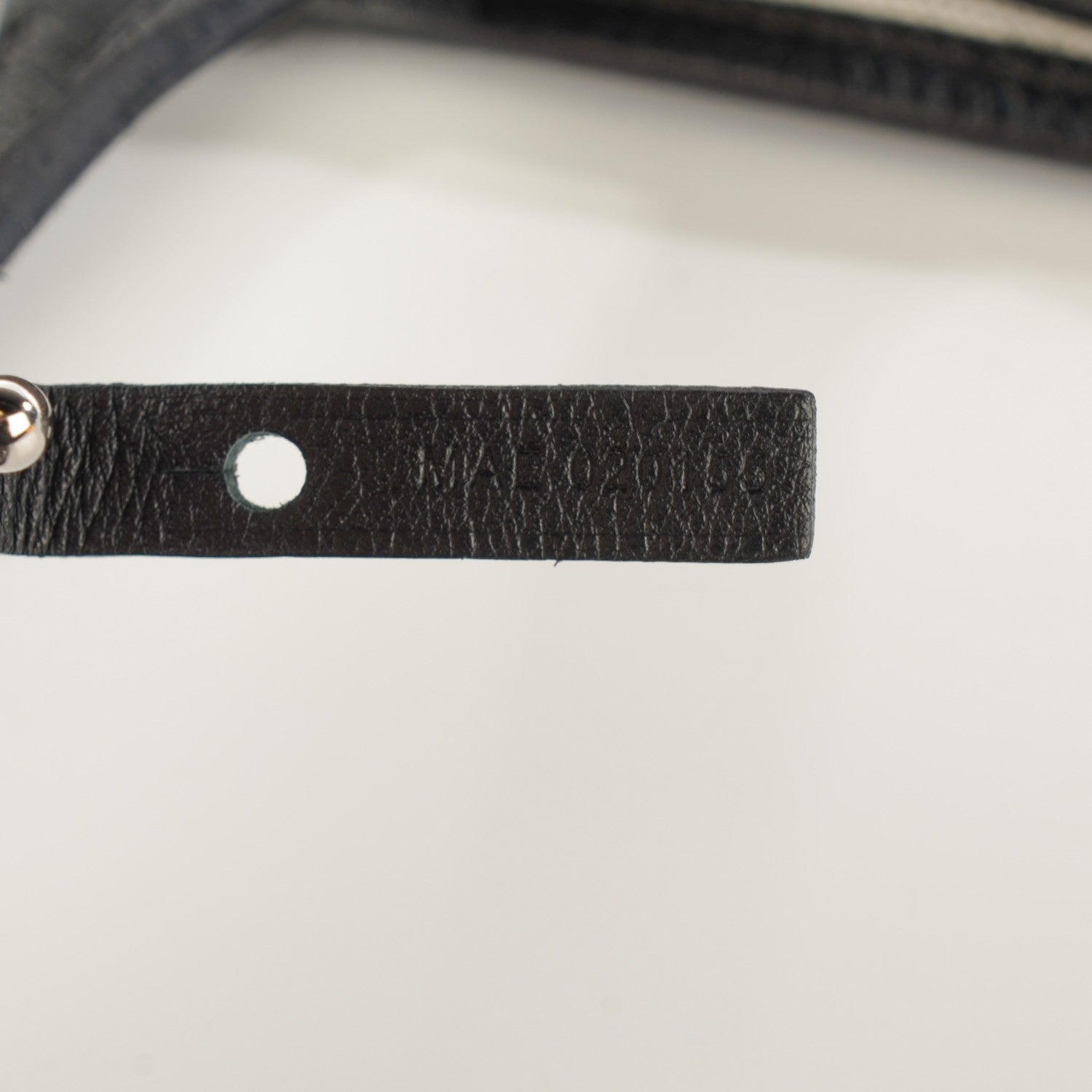 Goyard Goyardine Saint Louis PM Black 10 of 10