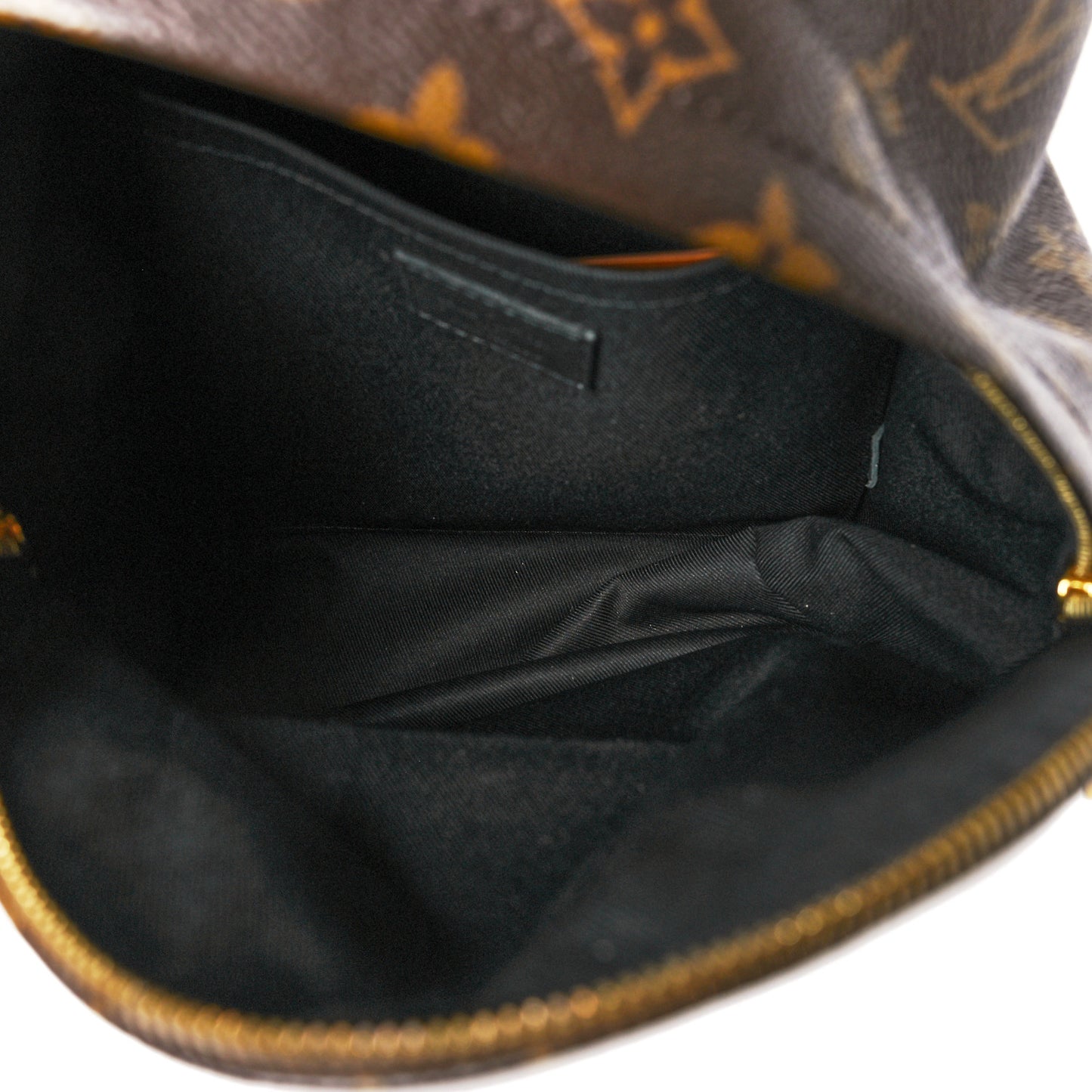 Monogram Palm Springs Backpack PM