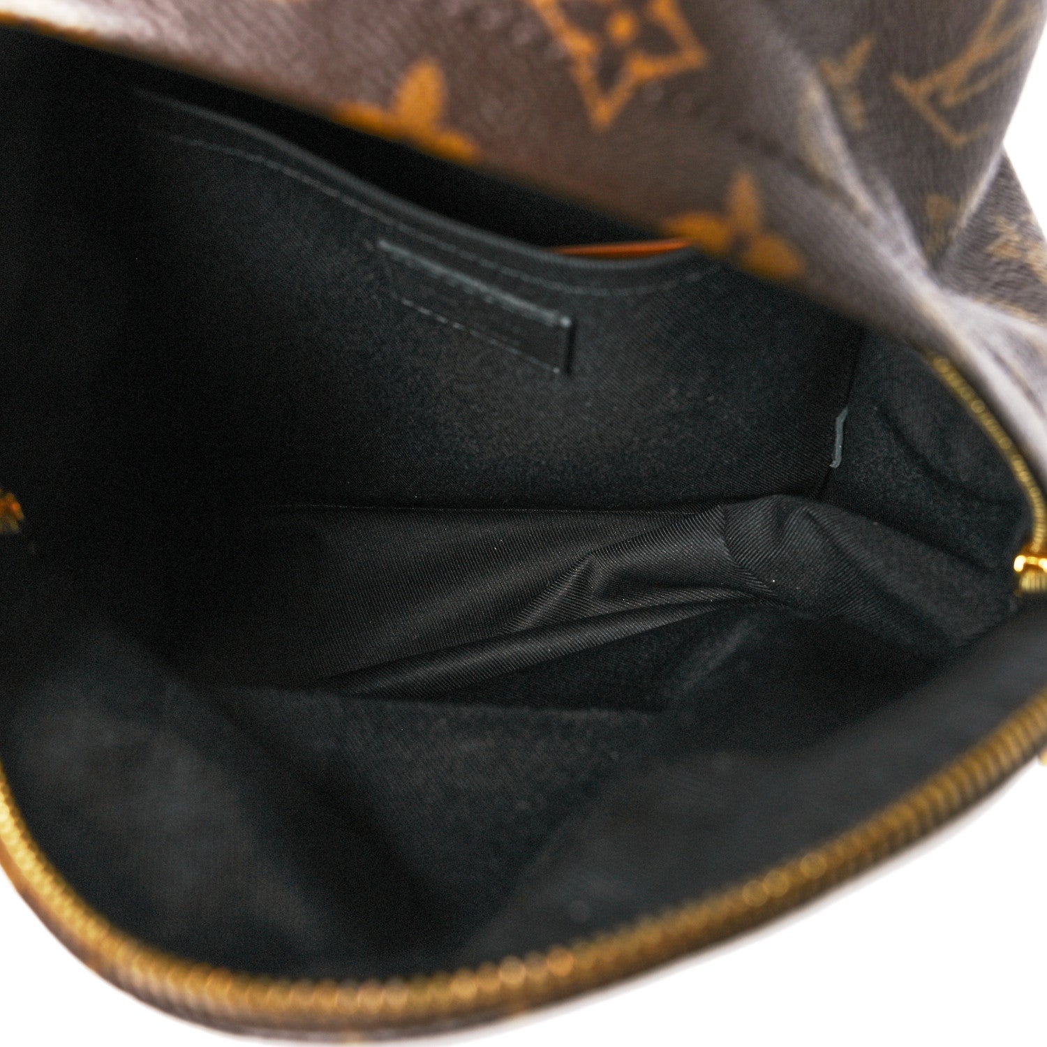 Louis Vuitton Monogram Palm Springs Backpack PM 5 of 9