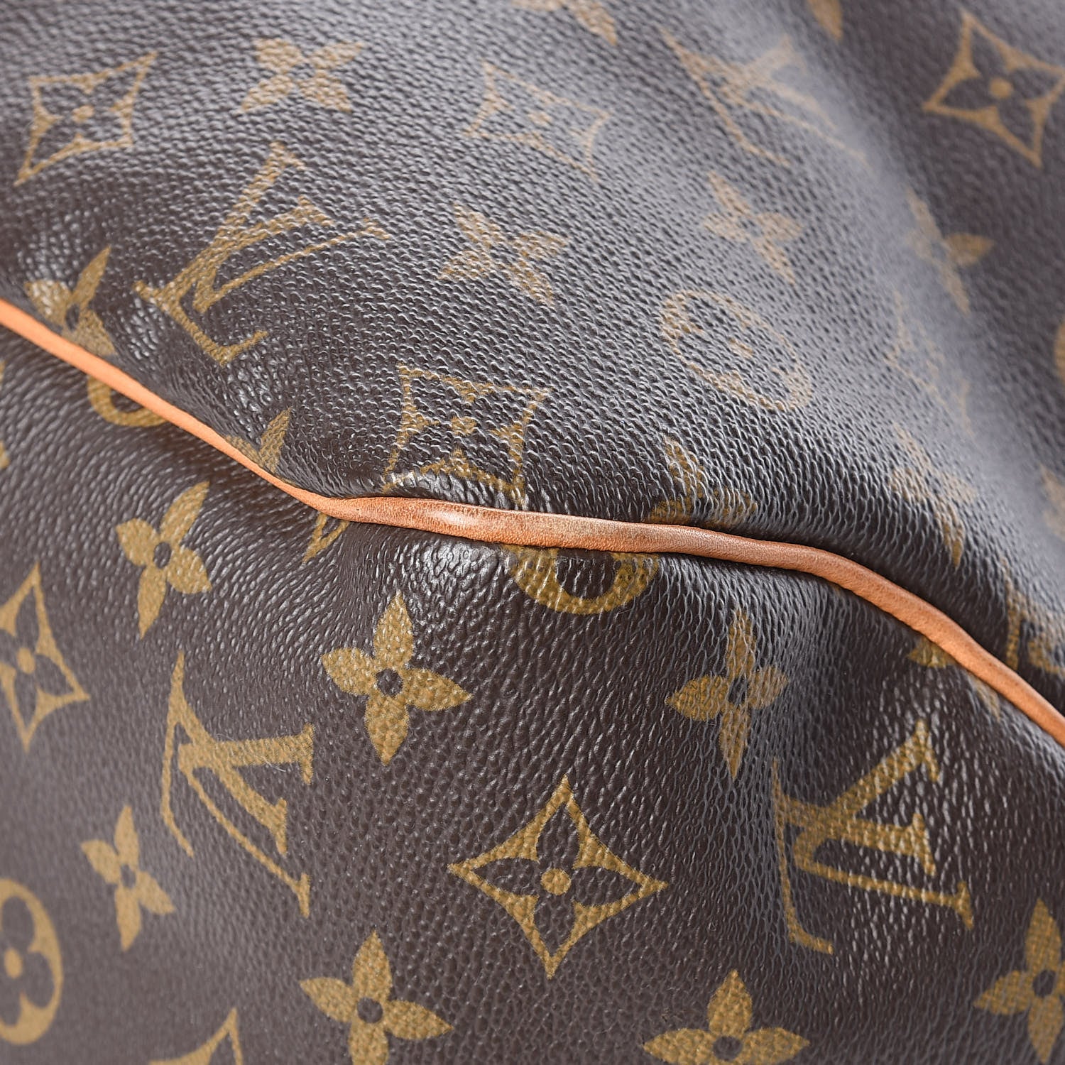 Louis Vuitton Monogram Delightful GM 12 of 16