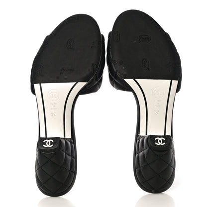 Chanel Lambskin Quilted Textured CC Mules 37 Black 5 of 12