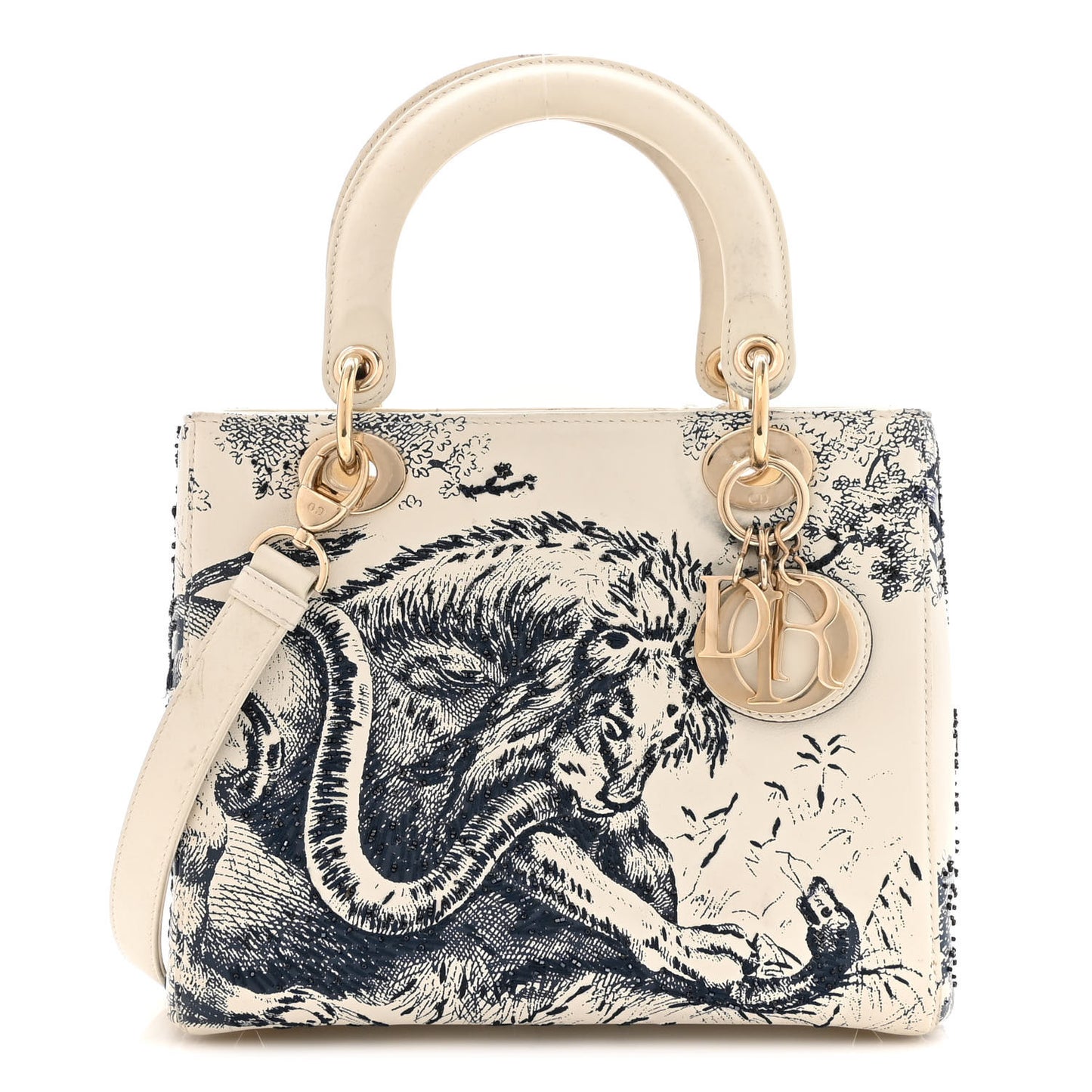Lambskin Embroidered Medium Toile De Jouy Lady Dior Blue