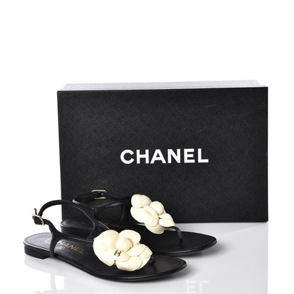 Chanel Lambskin Camellia Thong Sandals 35.5 Black White 11 of 11