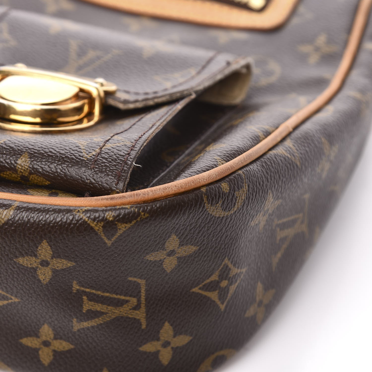 Louis Vuitton Monogram Hudson GM 13 of 18