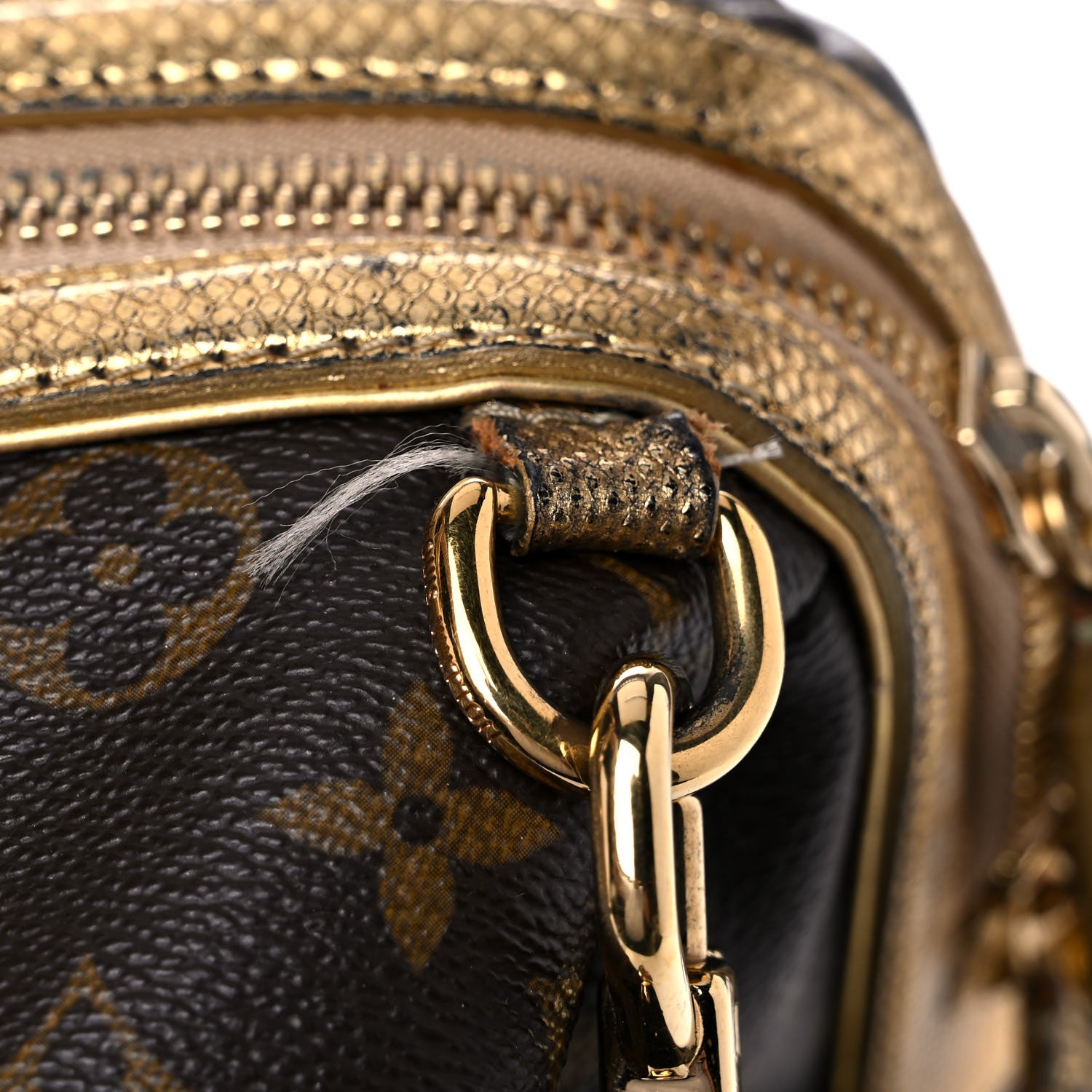 Louis Vuitton Monogram Leopard Stephen Bag 20 of 29